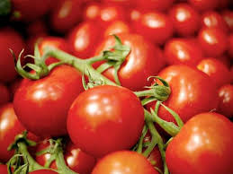 إستيراد طماطم من إيران