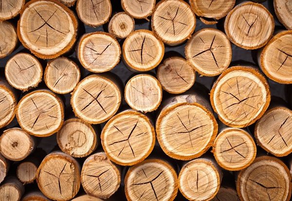 الخشب والصناعات الخشبية موقع التجارة ويب WWW.ALTTEJARAT.COM