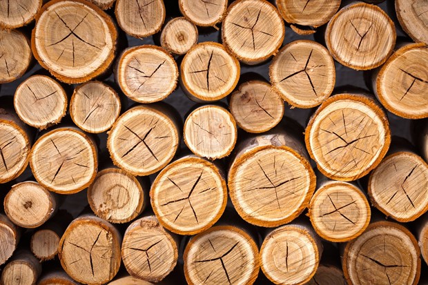 الخشب والصناعات الخشبية موقع التجارة ويب WWW.ALTTEJARAT.COM