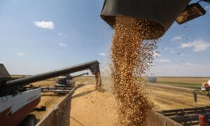 منتجات القمح - موقع التجارة ويب altejarat.com