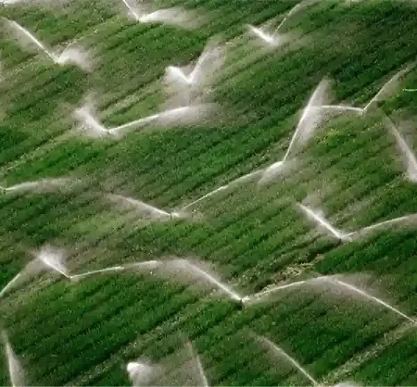 ري المزارع - موقع التجارة ويب - alttejarat